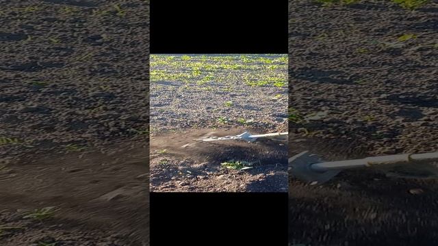 1471.mp4