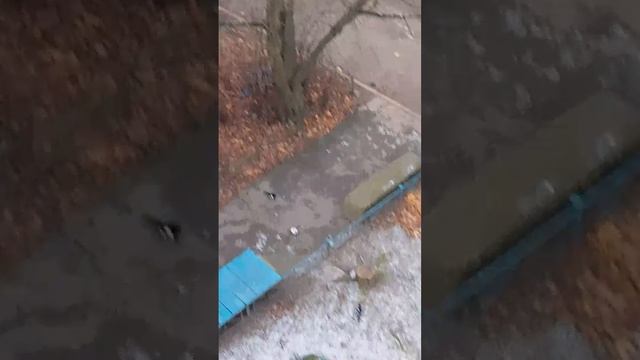 А у нас во дворе