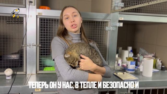 Добрый Карабас-Барабас поселился в центре! Поддержать⬇️