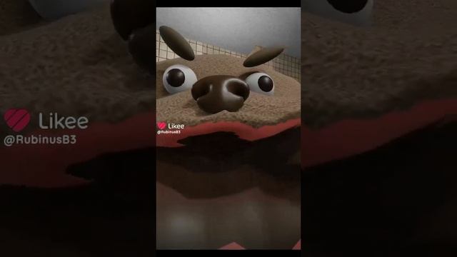 Like_7439578665750362635.mp4