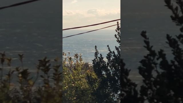 УРАГАН в АЛУПКЕ! 24.11.24.