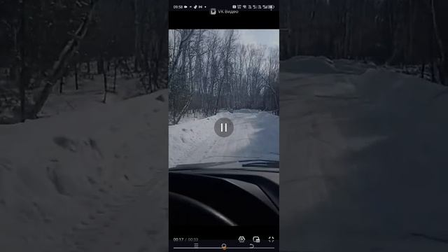 человек собаке друг