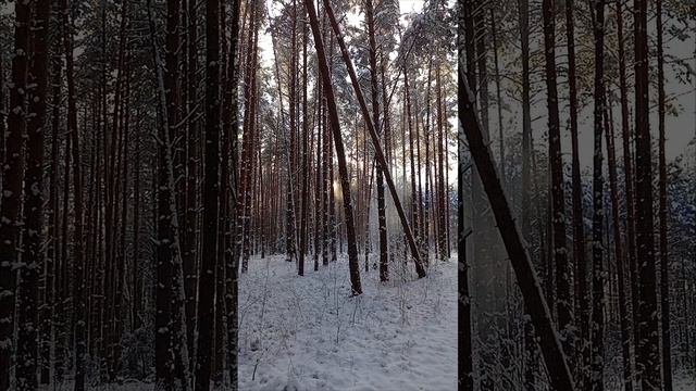 Зимняя осень