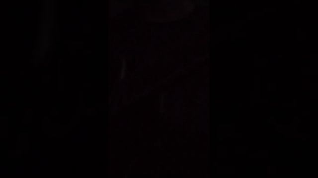 Сектор Газа 🎸демобилизация 🎸кавер 🎸