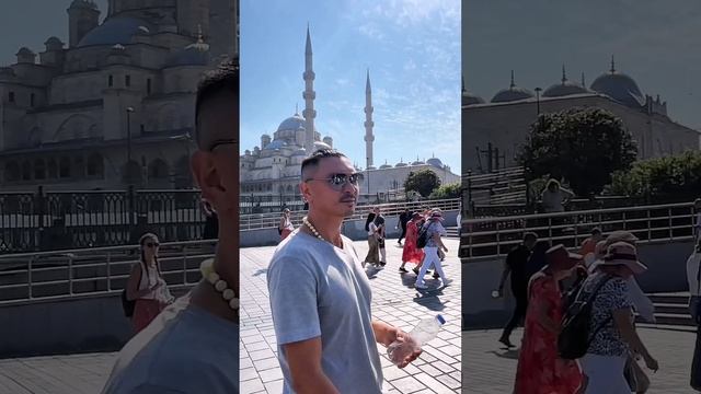 petal_20241123_160613.mp4