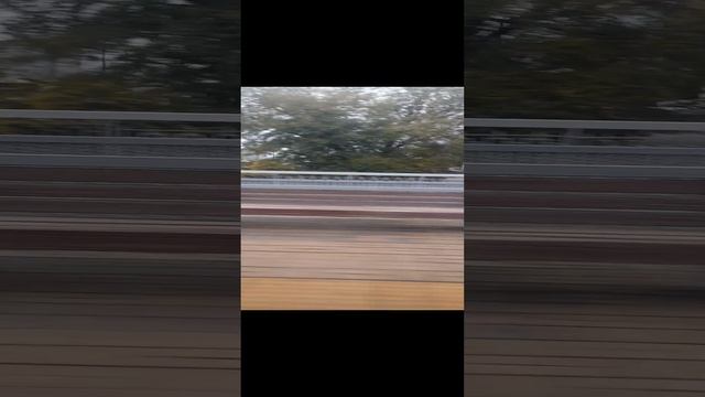 1000030470.mp4ржд.24.11.2024г.