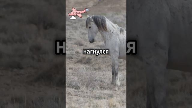 анекдот😂joke😂