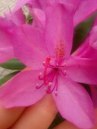 снимаем тренды с лп