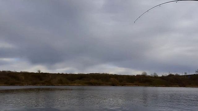 осенняя рыбалка, хищник, огромная щука, монстр, рыбалка, хищник