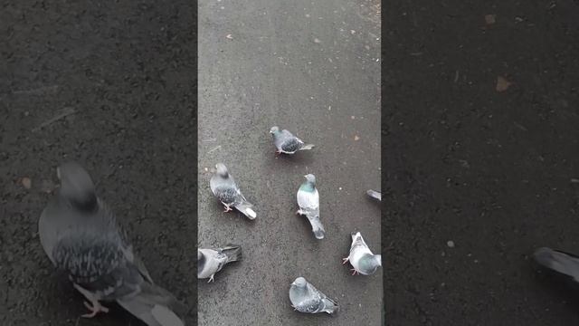 Россия. Сибирь. Ангарск. Иркутск. КК Санаторий "Ангара". 30.10.-16.11.2024г. (24.11.2024г.).