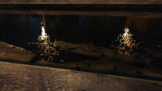Просто про мосты, зиму и природу