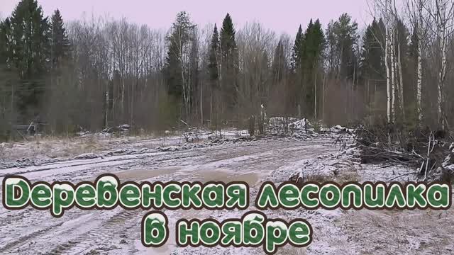 Деревенская лесопилка в ноябре.mp4