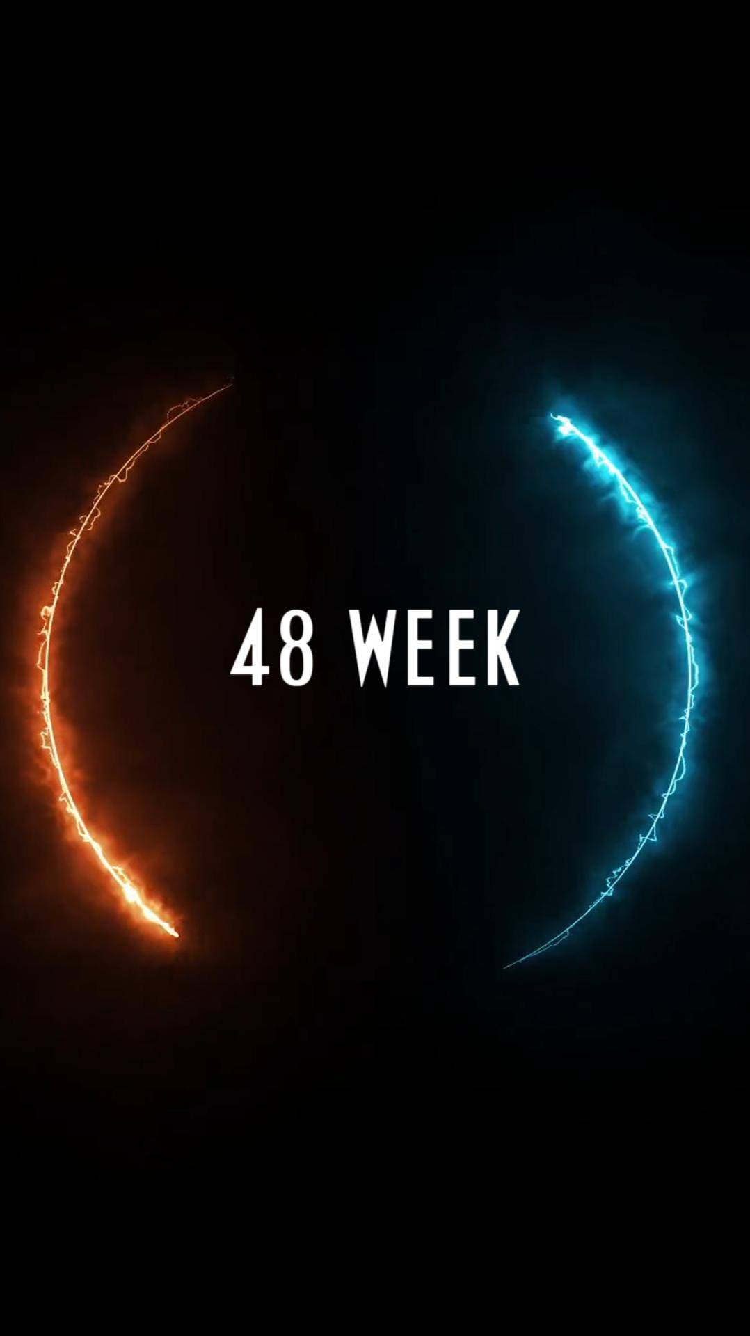 48 week