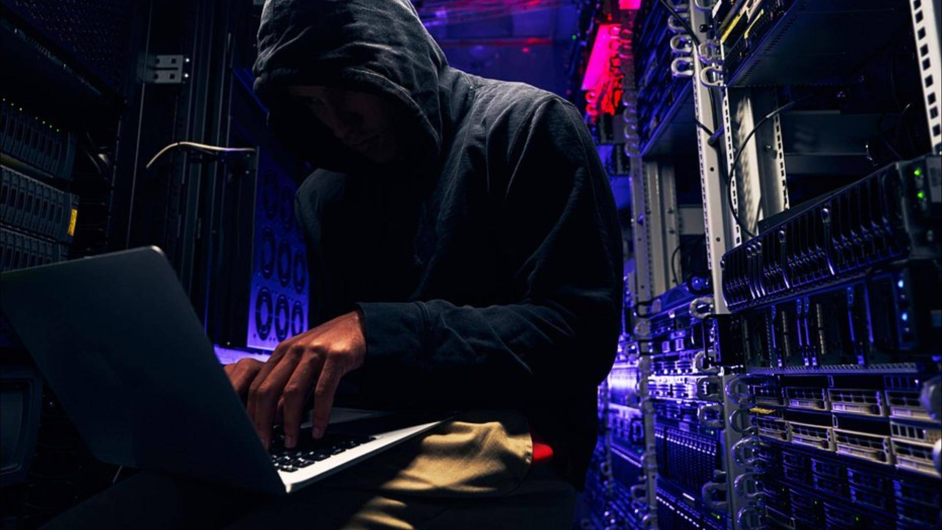 Названа страна, которую чаще других атакуют хакеры