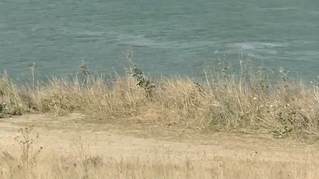 дорога по побережью (генеральские пляжи)