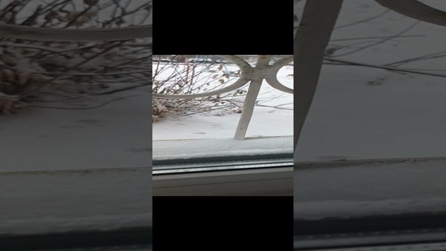 1000030702.mp4