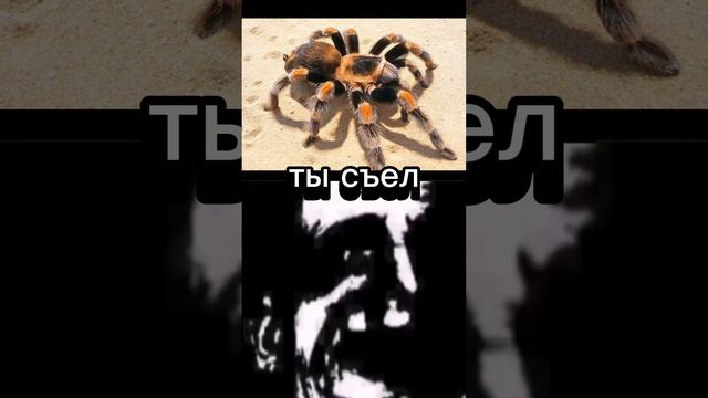 мистер исключительный(что ты съел)это моё первое видео