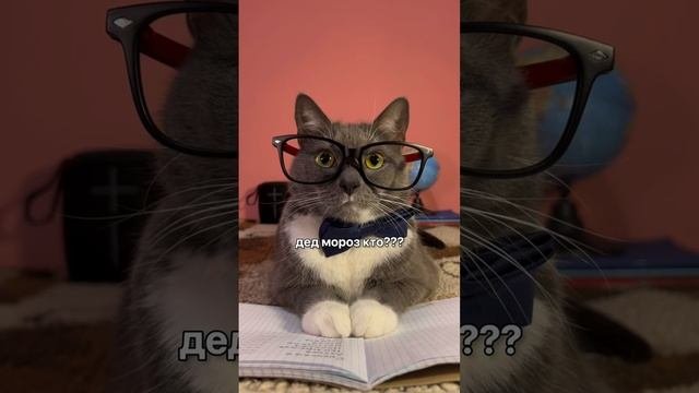 новогоднее настроение