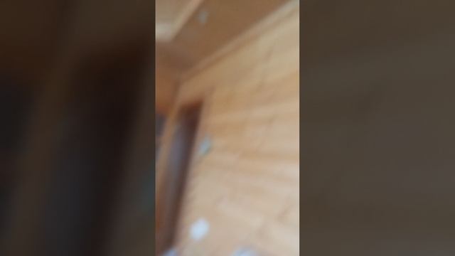 scene_output.mp4