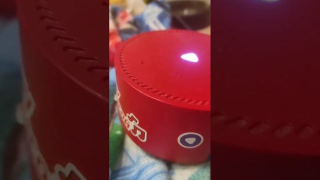 VID-20241117-WA0003.mp4