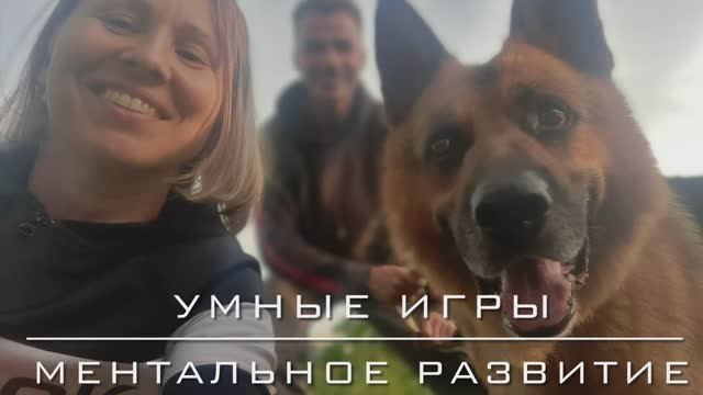 Ментальное здоровье собаки.