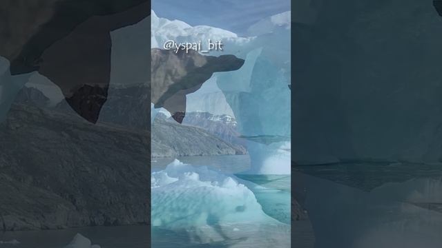-7322921178020089829