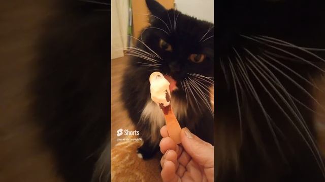 Машуля ест мороженое.