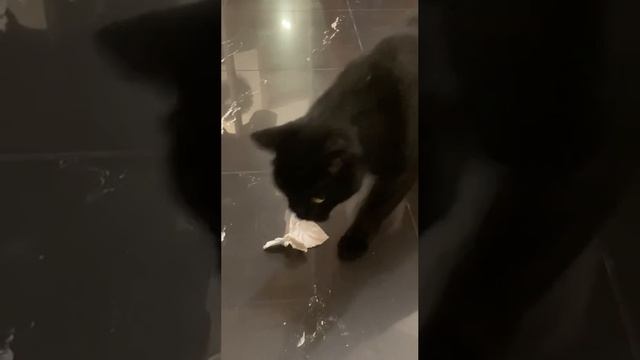 футболист
