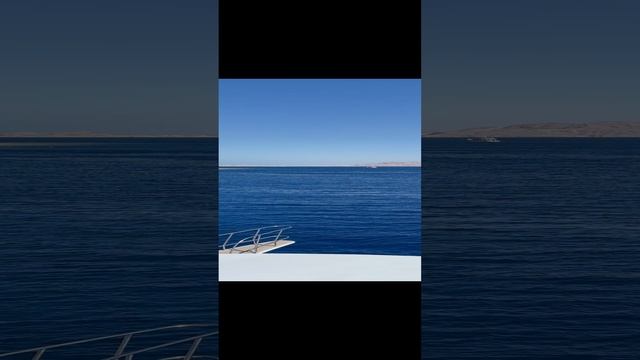 24-11-2024