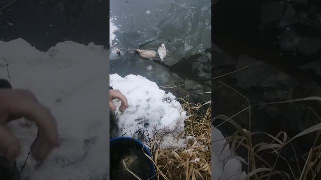 За Озером слежу