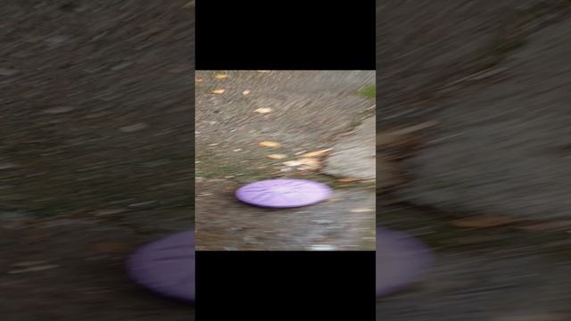 1000115891.mp4