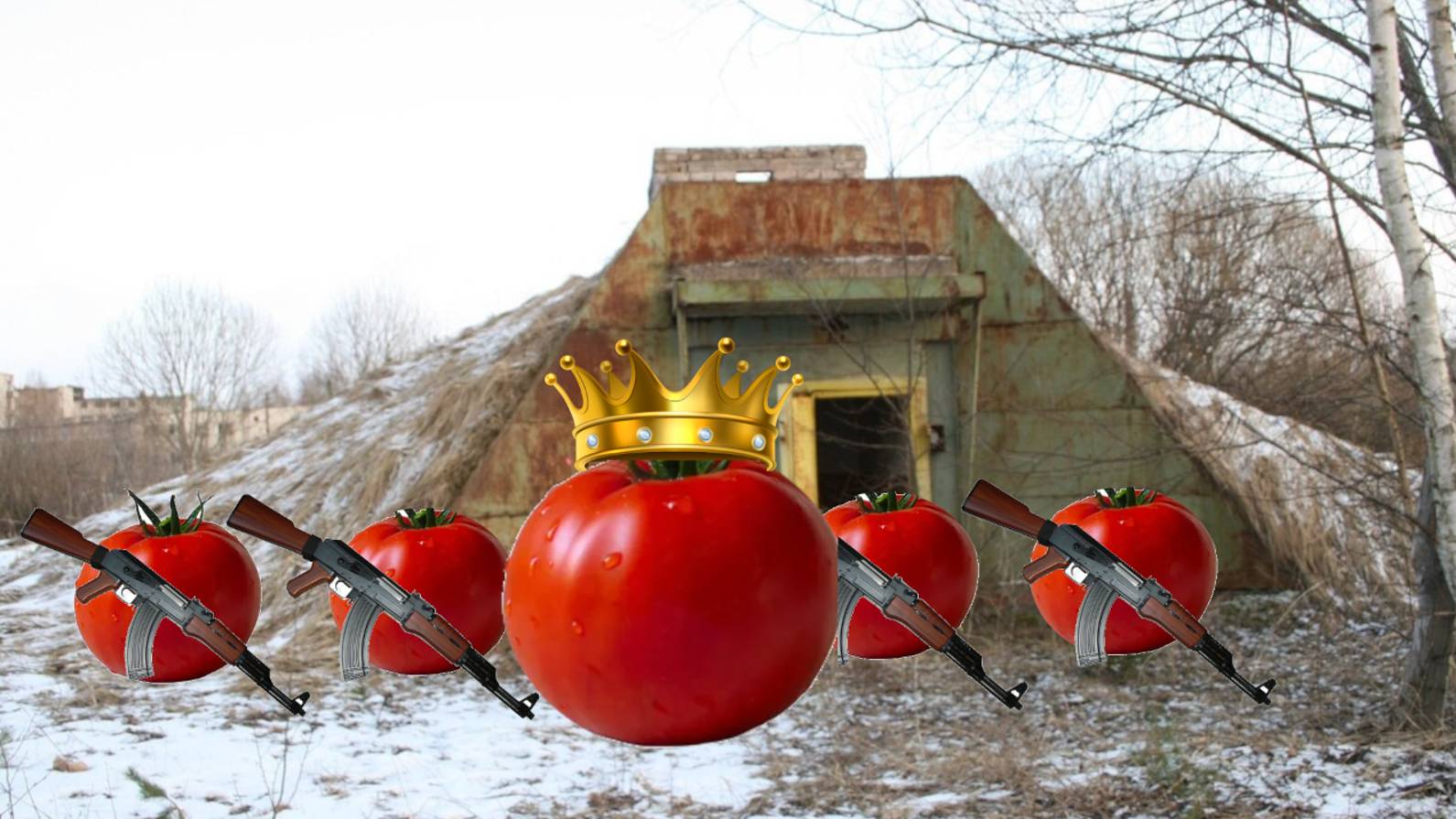 Мой тгк