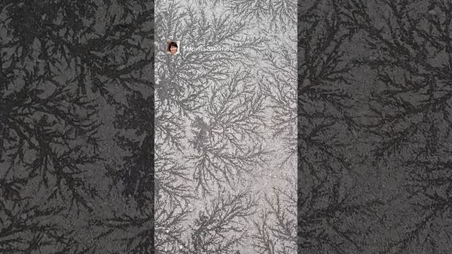 Узоры на асфальте.