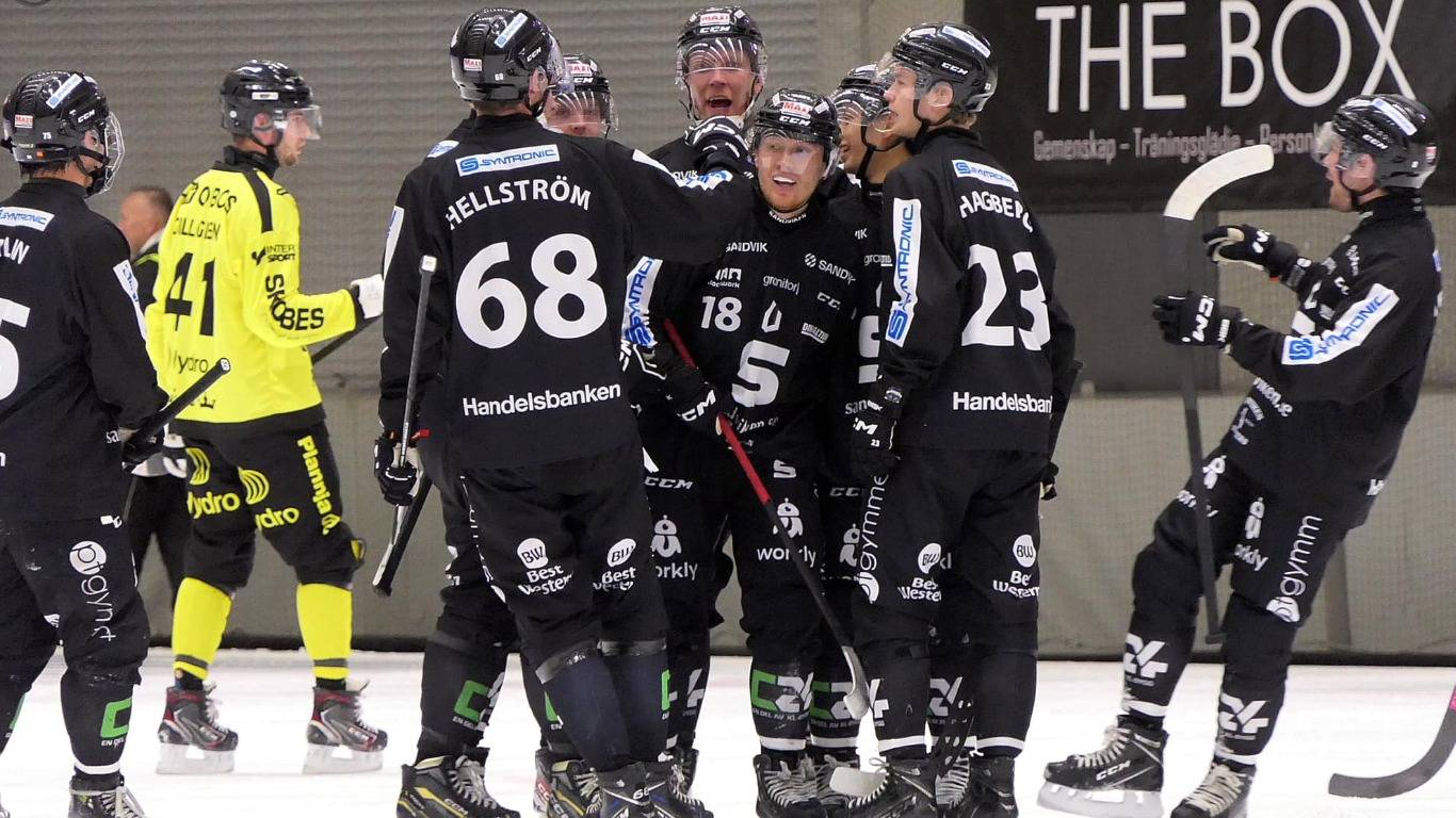 «Sandvikens AIK»-«Vetlanda BK» 20 Nov Elitserien 2024-25