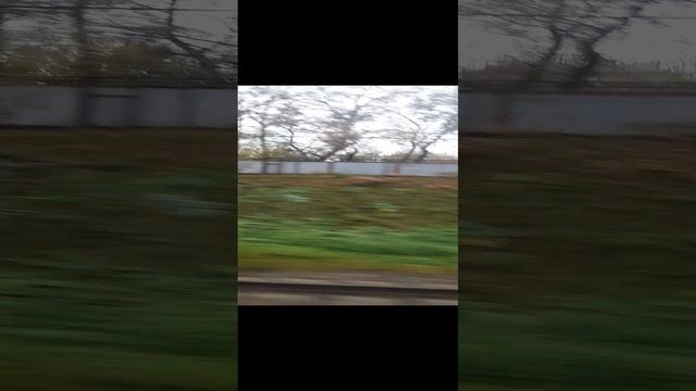 1000030467.mp4Попзд.24.11.2024г.