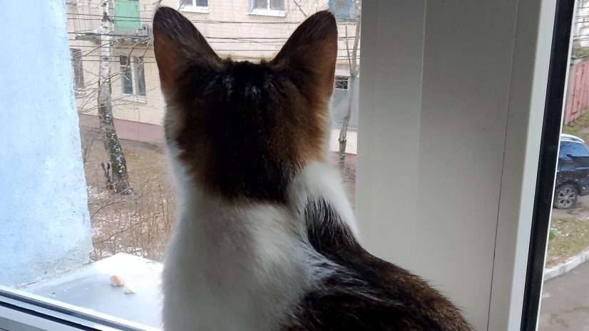 ен