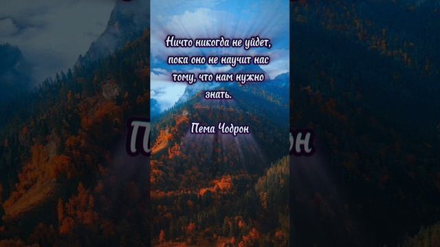 #quotes #саморазвитие #психология #карма #слова #цитаты #руны #послание #душа #love #motivation
