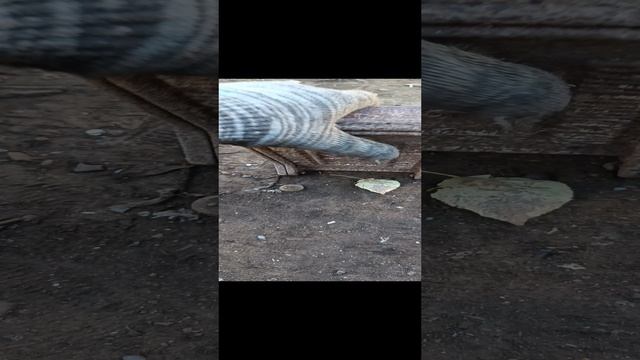 Находка на приёмке. Владивосток