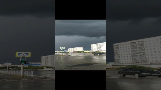 VID_20240801_135654.mp4 Елена Дружиненко Воркута Летом