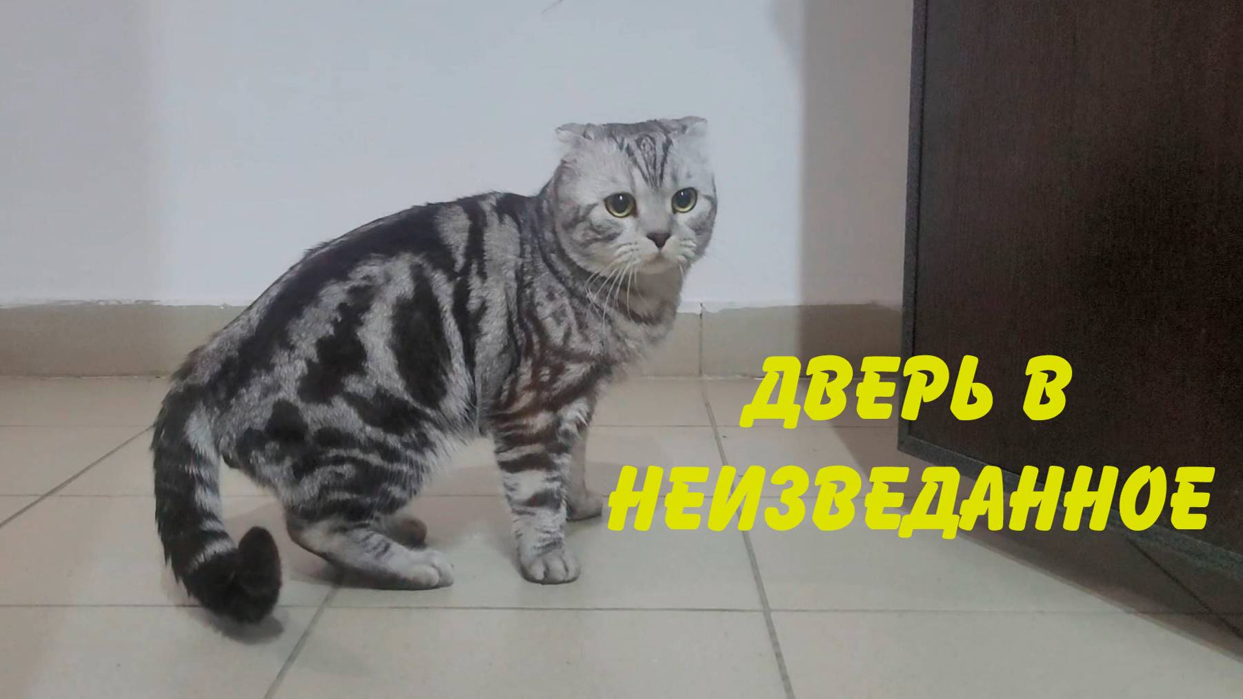 Дверь в неизведанное