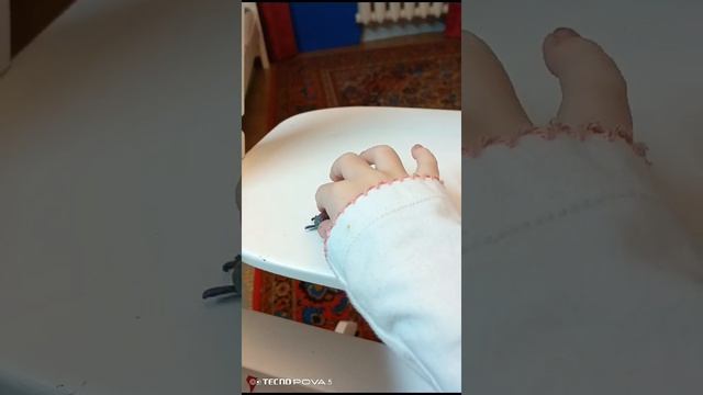 Зверушки из пластилина