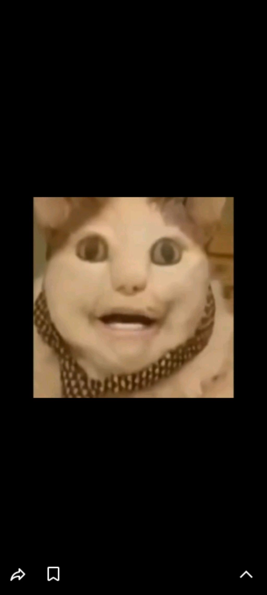 за тобой цветы