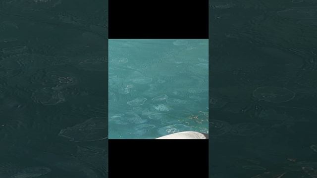 1000120698.mp4