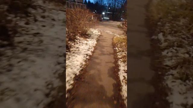 scene_output.mp4