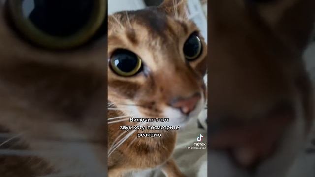 1000033851.mp4