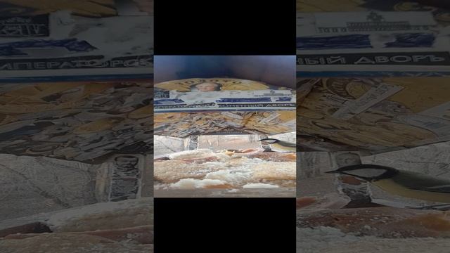 1000033290.mp4телевизор за окном.24.11.2024г.