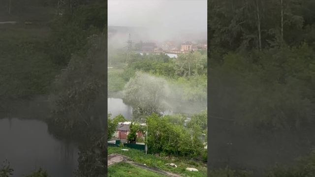 Тополиный пух, очень красиво. Тюмень. 2024