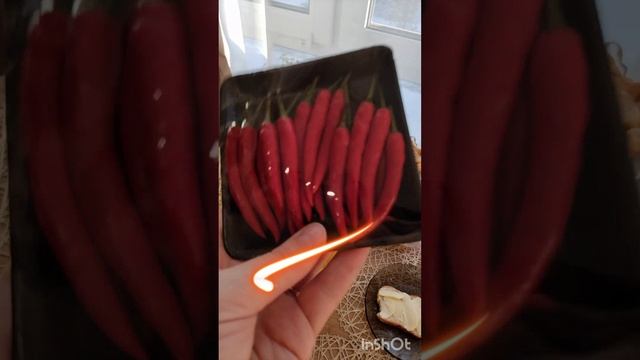 Жгучий перчик🌶️