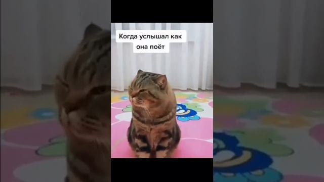 Когда голоса нет но очень хочется Петь!