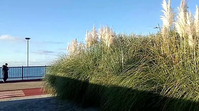 Сочи. Пешком по Имеретинке (бывший с_з Россия). Ноябрьское тепло.